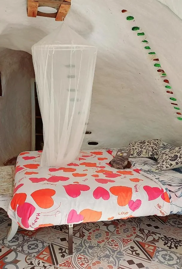 Eco Camping Nueva Vida contacts